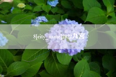 湖南2022九宫