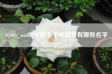 湖南中国五千米冠军有哪些名字