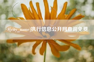 湖南执行信息公开网查询免费