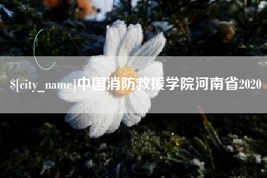 湖南中国消防救援学院河南省2020